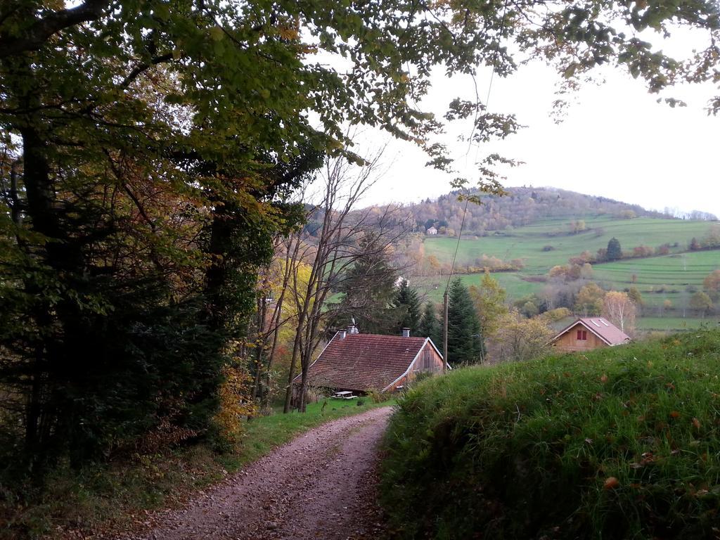 Giteovosges La Croix-aux-Mines Dış mekan fotoğraf