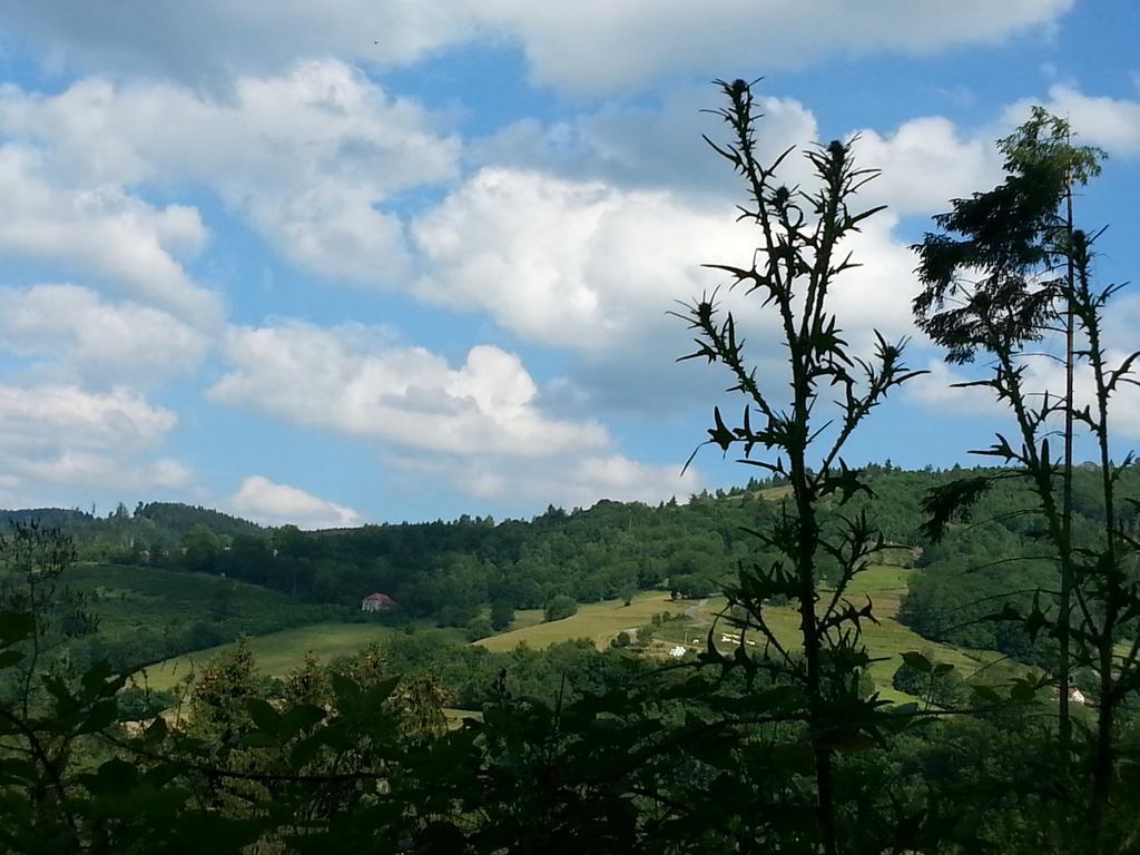 Giteovosges La Croix-aux-Mines Dış mekan fotoğraf